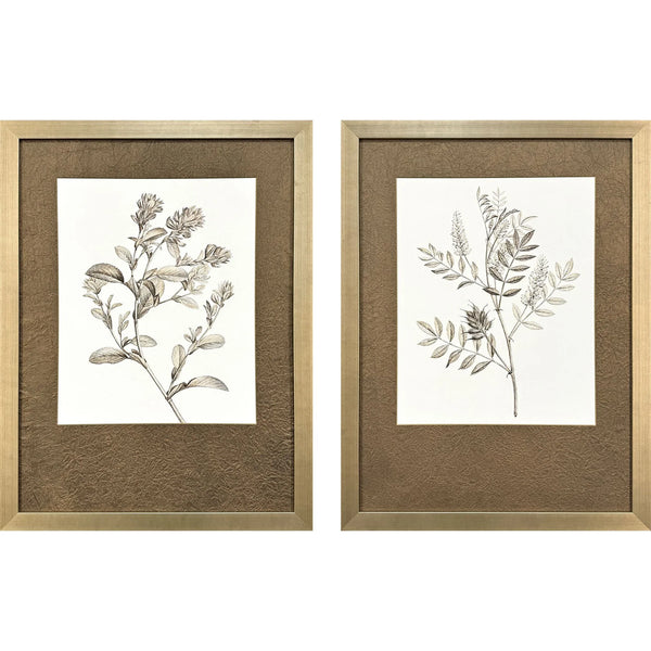 Neutral Botanical Wood Framed Wall Art 2PC