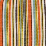 Outdoor Fancy Stripe Lumbar Pillow - Multi