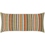 Outdoor Fancy Stripe Lumbar Pillow - Multi