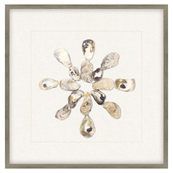 Oyster Shell Beige Framed Wall Art