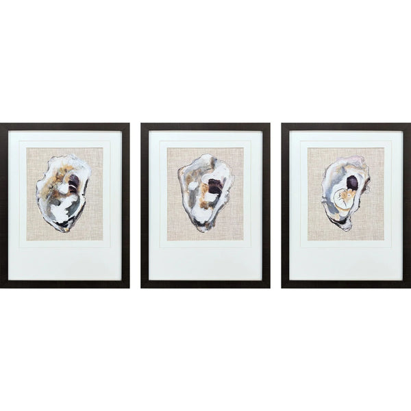 Oyster Shell Study Neutral Framed Wall Art 3PC