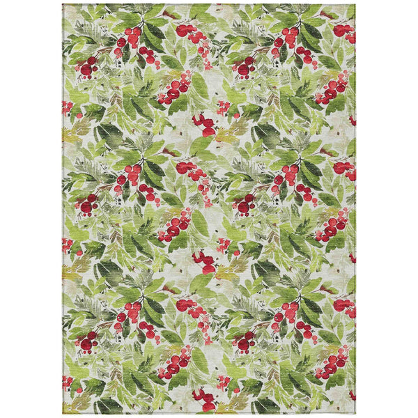 Paelora Green Washable Indoor-Outdoor Rug