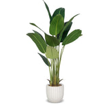 Faux Botanical Indoor Traveler's Palm Planter