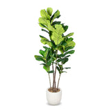 Faux Botanical Indoor Fiddle Leaf Tree Planter