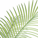 Faux Botanical Outdoor Madagascar Palm Planter