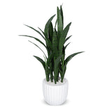 Faux Botanical Outdoor Sanseveria Planter