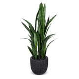 Faux Botanical Outdoor Sanseveria Planter