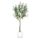 Faux Botanical Indoor Olive Tree Planter