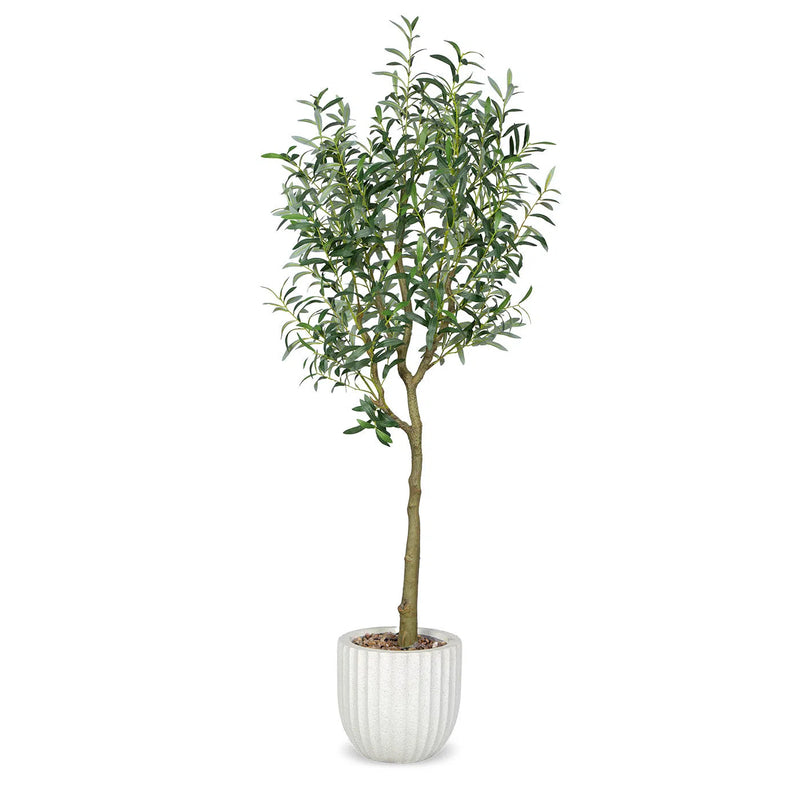 Faux Botanical Indoor Olive Tree Planter