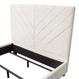 Queen Bed 54" Headboard in Light Cream Velvet Beds LOOMLAN By Diamond Sofa