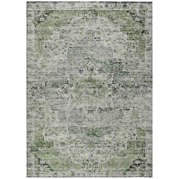 Raeor Aloe Washable Indoor-Outdoor Rug
