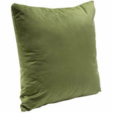 Set of 2 16" Square Accent Pillows in Sage Green Velvet Throw Pillows LOOMLAN By Diamond Sofa