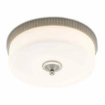 Silver Frosted Glass Bryce Flush Mount By Goralnick