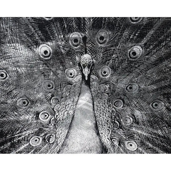 Silver Plumage 72" x 48" Charcoal Frame Luxe Wall Art