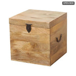 Square Storage Cube Trunk Farmhouse Jameson