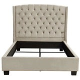 Taupe Tan Velvet Wingback Queen Bed Frame With Nail Head Beds LOOMLAN By Diamond Sofa