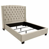 Taupe Tan Velvet Wingback Queen Bed Frame With Nail Head Beds LOOMLAN By Diamond Sofa