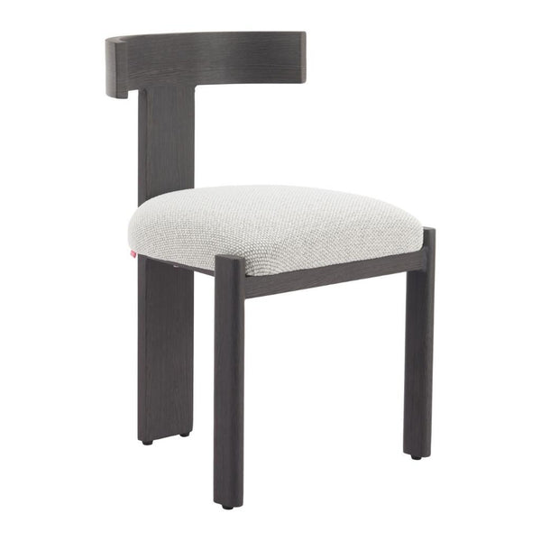 Tiana Olefin Fabric Outdoor Dining Chair