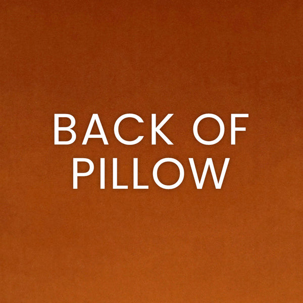 Toro Pillow - Orange-Throw Pillows-D.V. KAP-LOOMLAN