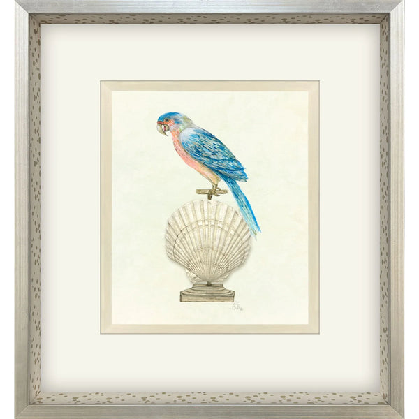Treasure Parrot IV Wood Framed Wall Art