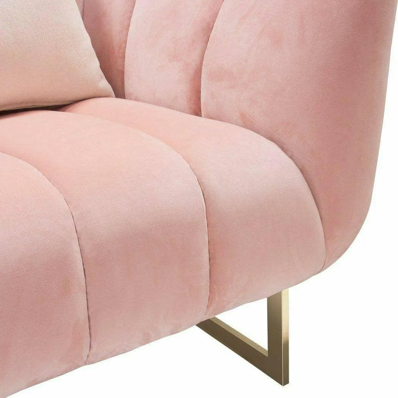 Venus Gold Frame Pink Velvet Barrel Chair With Toss Pillow Club Chairs LOOMLAN By Diamond Sofa