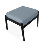 Welles Cushion Ottoman With Rustic Polymer Tapered Legs