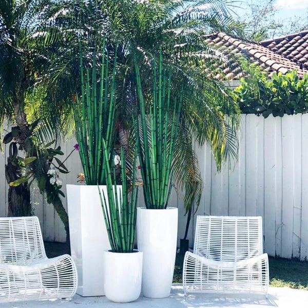 White Rattan All-Weather Wicker Outdoor Lounge Chair