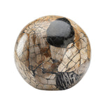 Gaia Ball Brings Nature Indoors Sculpture