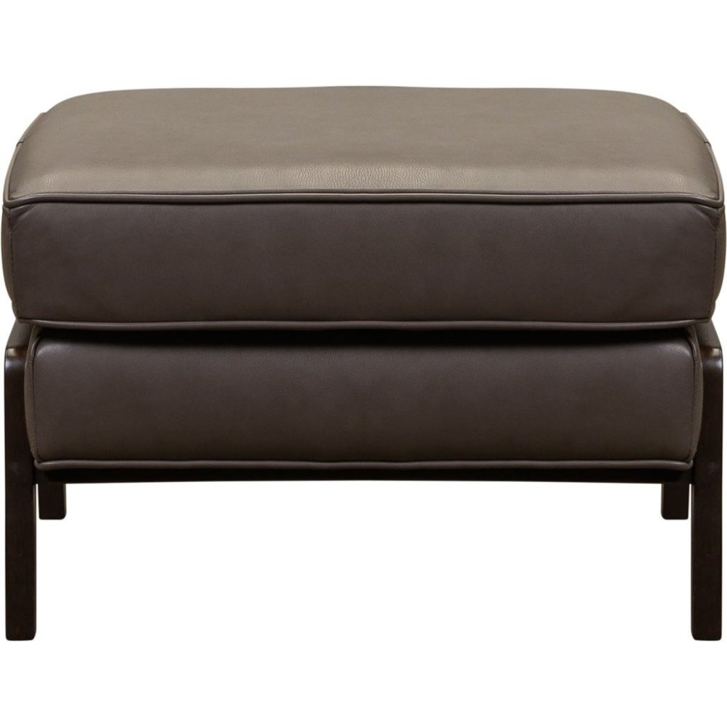 Anastasia Rectangular Leather Ottoman - LOOMLAN - Olivia + Quinn - Ottomans