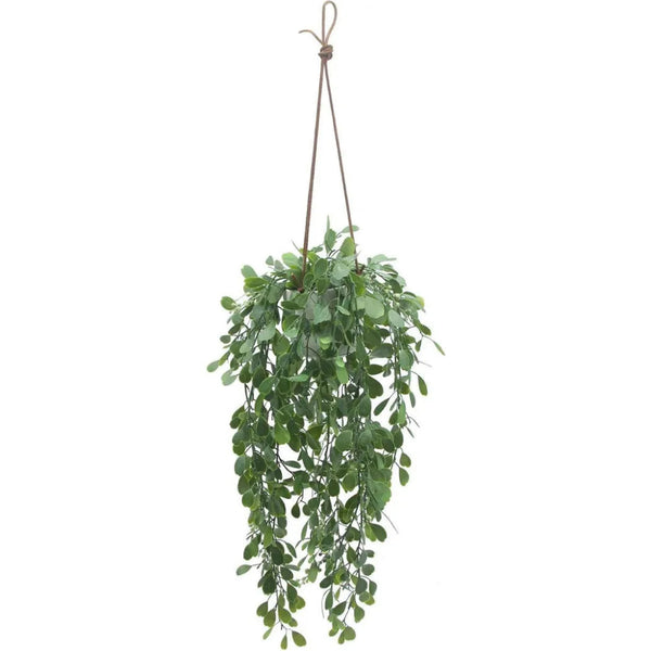 Artificial Indoor Hanging Boxwood Trailing Plant - LOOMLAN - Le Present - Faux Plants Accessories