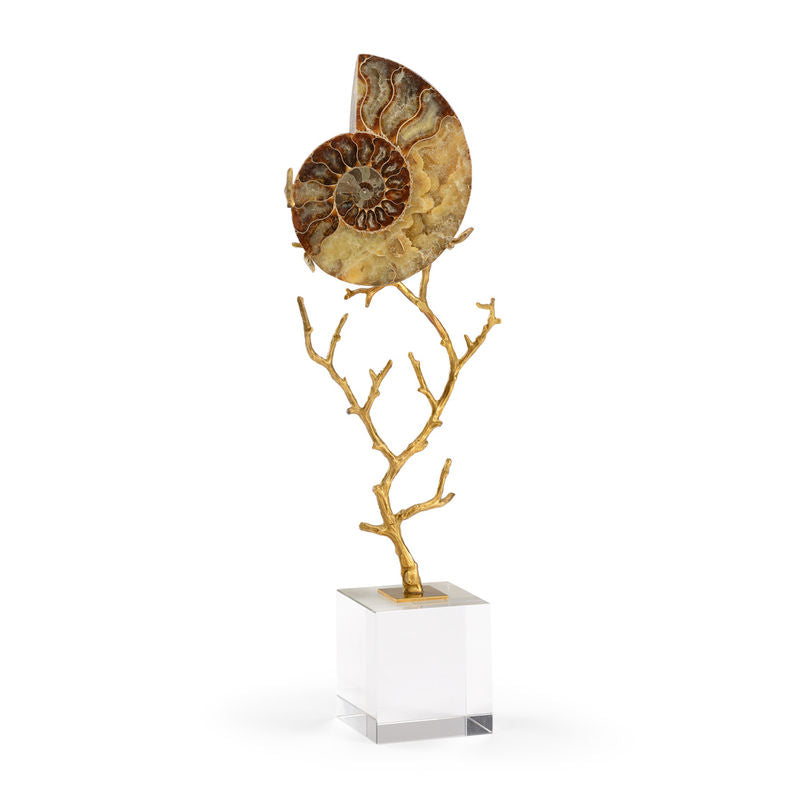 Ammonoidea Brass Stem Sculpture