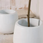 Belly Elegant Designed Fiberglass Planter - LOOMLAN - Le Present - Planters