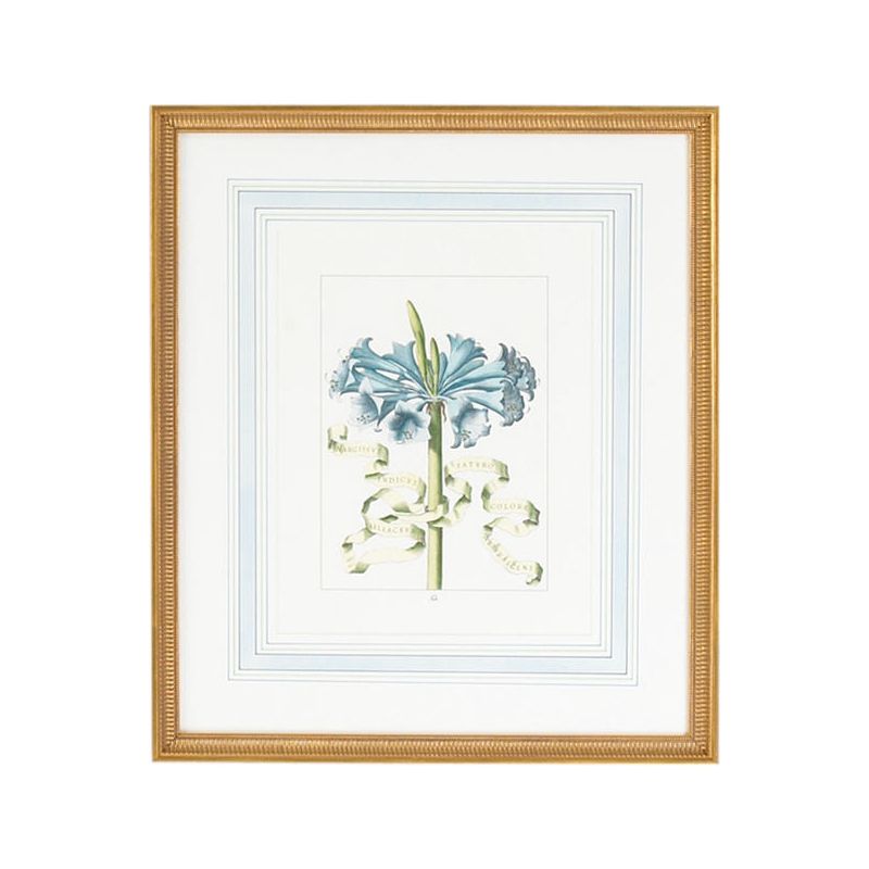 Bl Floral Gold Framed Artwork - LOOMLAN - Chelsea House - Artwork