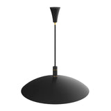 Wendell Pendant Light Modern Black And Brass Design