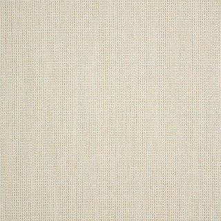 Demo Parchment