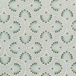 Plume Spring