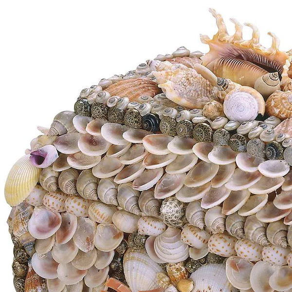 Natural Boardwalk Shell Jewelry Box