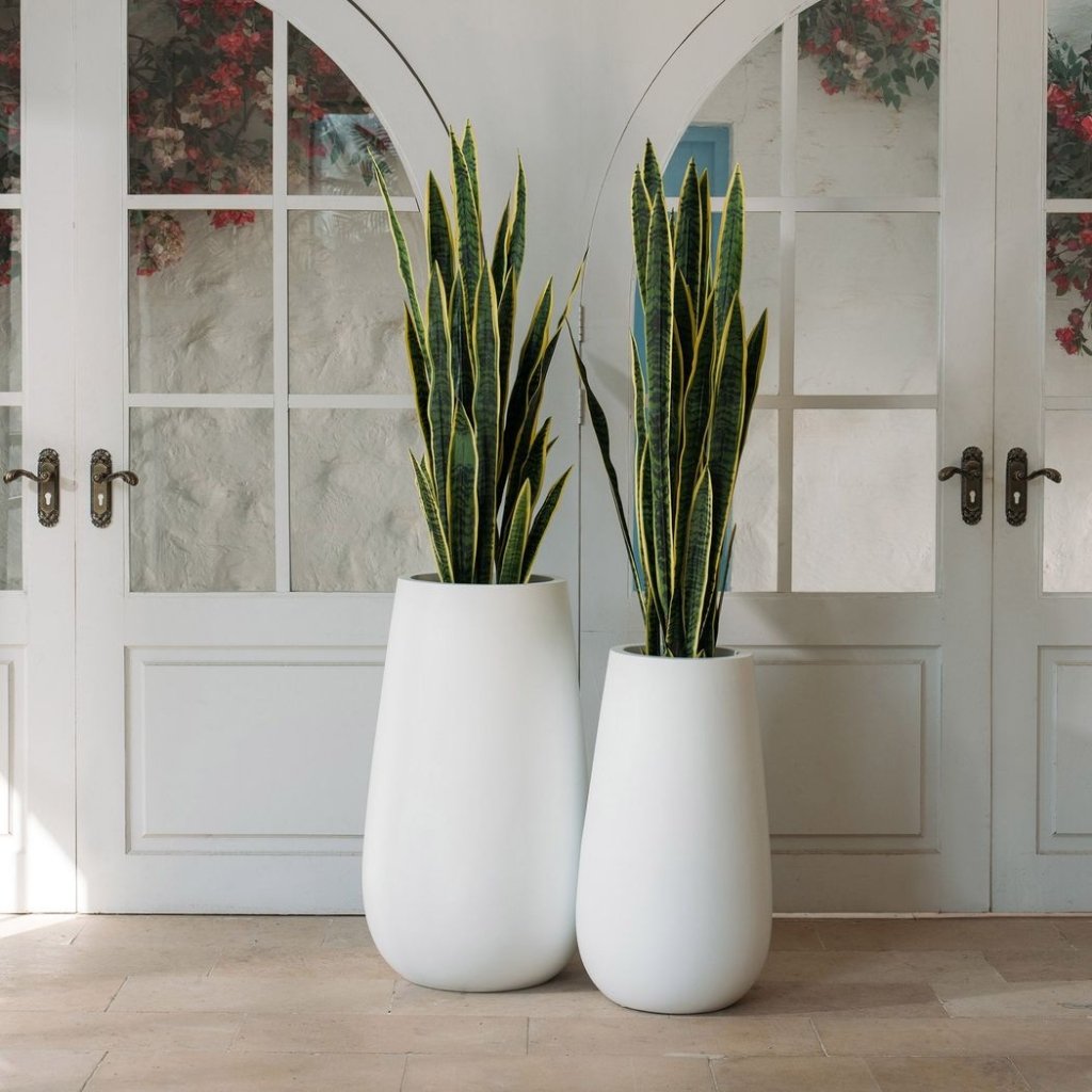 Drop Fiberglass Made Planter - LOOMLAN - Le Present - Planters