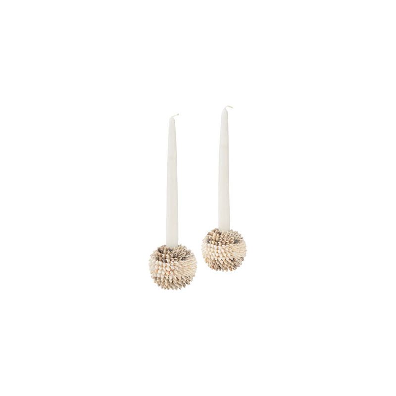 Nassa Shell Made Candleholder (Set Of 2)