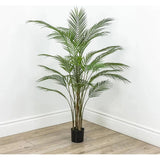 Faux Botanical Green Indoor Madagascar - LOOMLAN - Le Present - Potted Plants