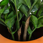 Faux Botanical Green Indoor Zamio - LOOMLAN - Potted Plants