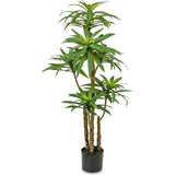 Faux Botanical Indoor Green Dracaena - LOOMLAN - Le Present - Potted Plants