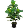 Faux Botanical Indoor Green Ficus Elastica - LOOMLAN - Le Present - Potted Plants