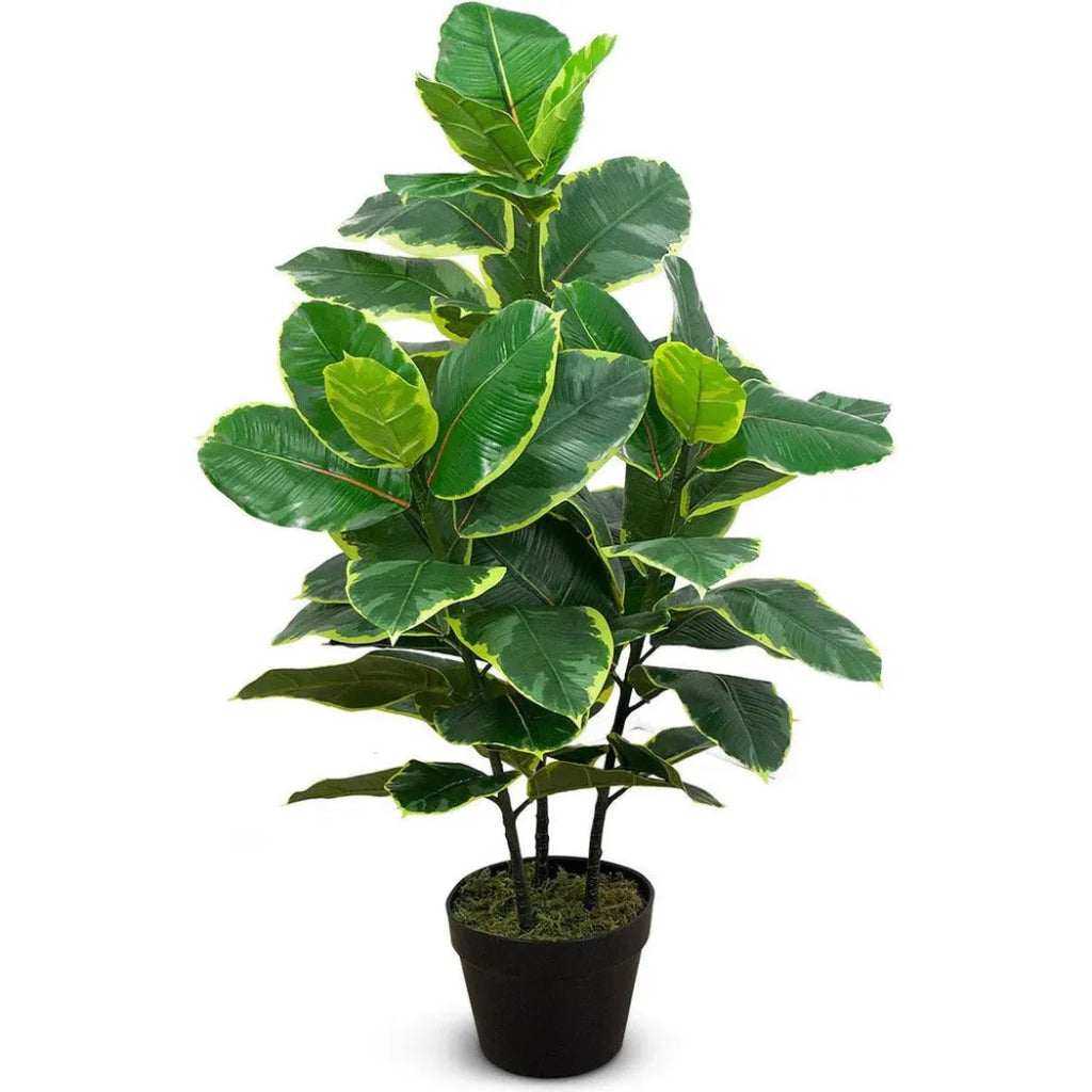 Faux Botanical Indoor Green Ficus Elastica - LOOMLAN - Potted Plants