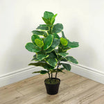 Faux Botanical Indoor Green Ficus Elastica - LOOMLAN - Potted Plants