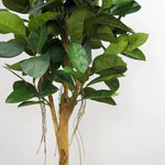 Faux Botanical Indoor Green Ficus Elastica - LOOMLAN - Potted Plants