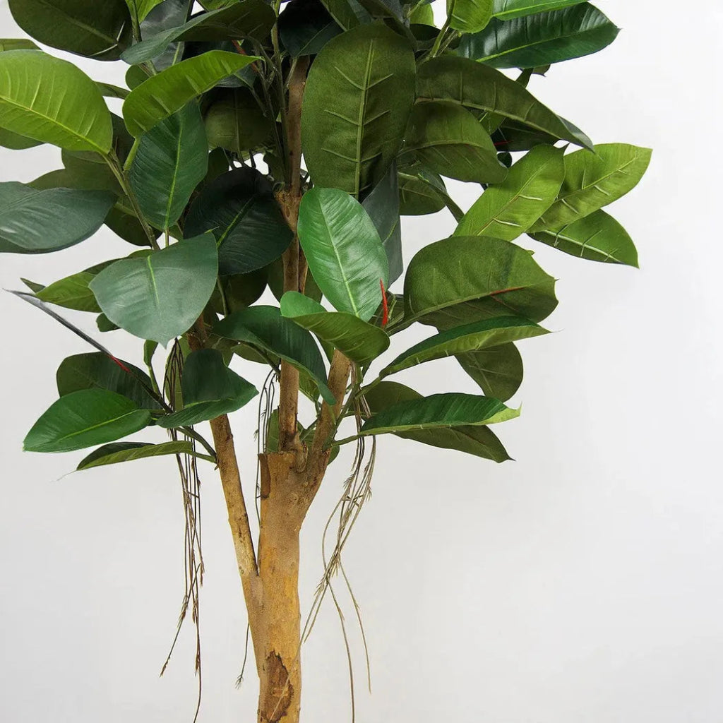 Faux Botanical Indoor Green Ficus Elastica - LOOMLAN - Potted Plants