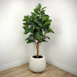 Faux Botanical Indoor Green Ficus Elastica - LOOMLAN - Le Present - Potted Plants