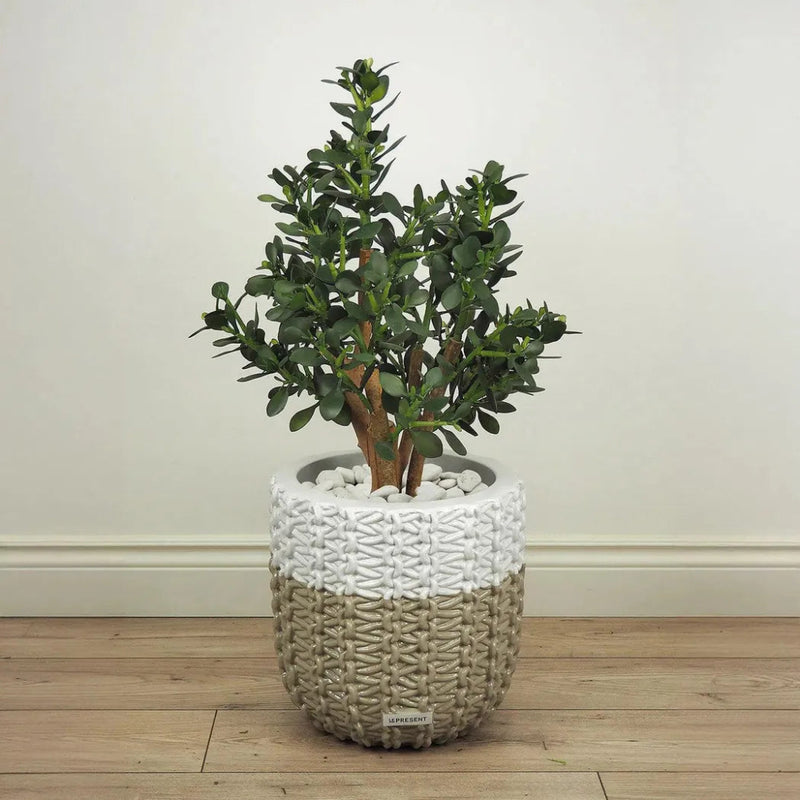 Faux Botanical Indoor Green Jade Plant - LOOMLAN - Le Present - Potted Plants