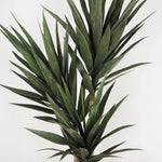 Faux Botanical Indoor Green Yucca - LOOMLAN - Potted Plants